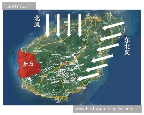 成都极限运动队的阵地战与城市运动文化的崛起探讨